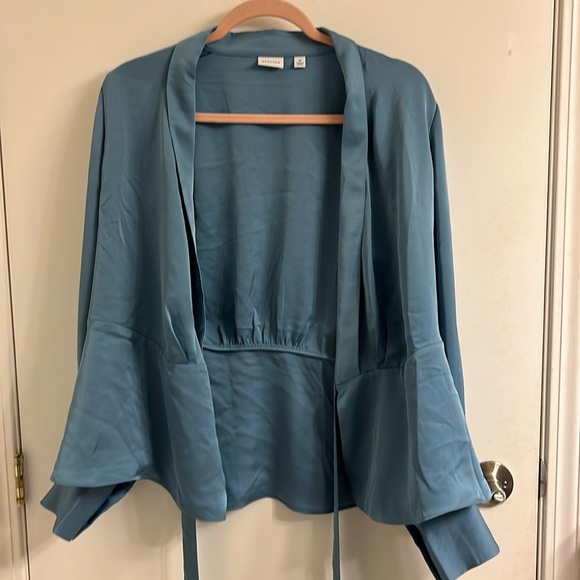 Babaton Tops - Aritzia Babaton Hyde Blouse